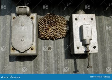 wasp nest electrical box|electrical box wasp killer.